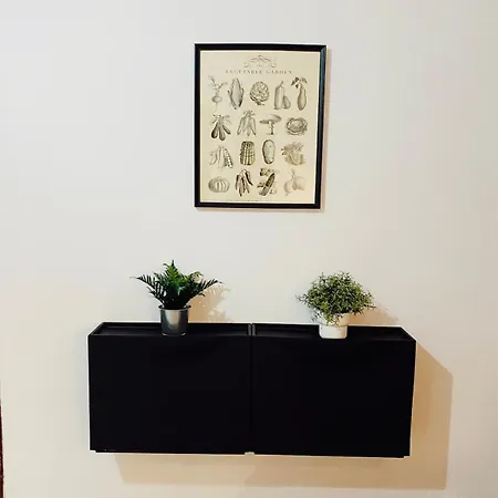 Stylish & Comfort In Ortakoey Stambuł