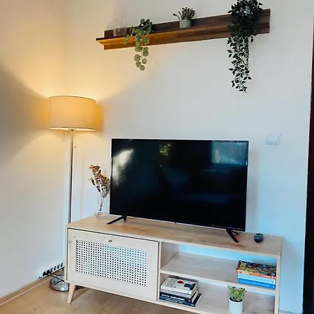 Appartement Stylish & Comfort In Ortakoey Istambul