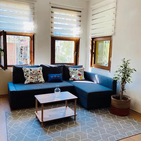 Stylish & Comfort In Ortakoey Estambul