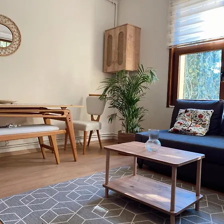 Stylish & Comfort In Ortakoey Istanbul