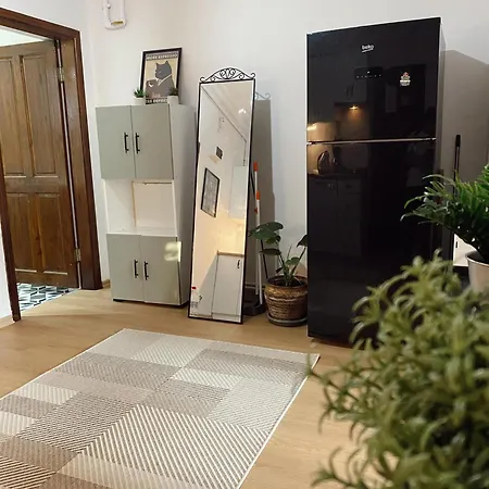 Stylish & Comfort In Ortakoey Apartment Istanbul