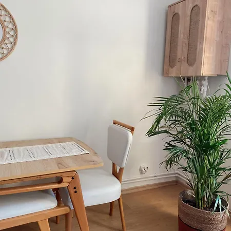 Apartment Stylish & Comfort In Ortakoey Istanbul