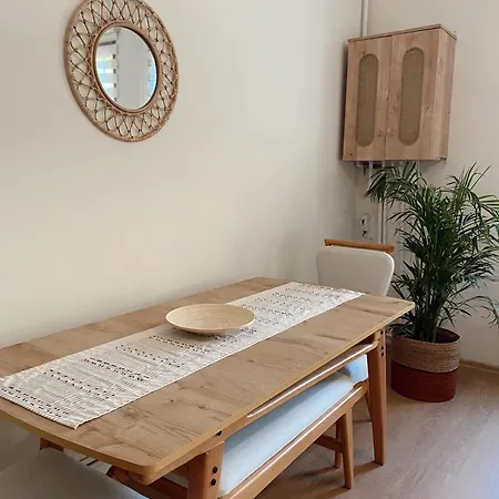 Apartment Stylish & Comfort In Ortakoey Istanbul
