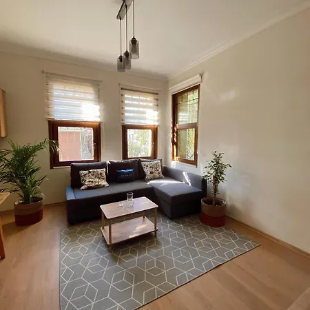 Stylish & Comfort In Ortakoey Apartment Istanbul