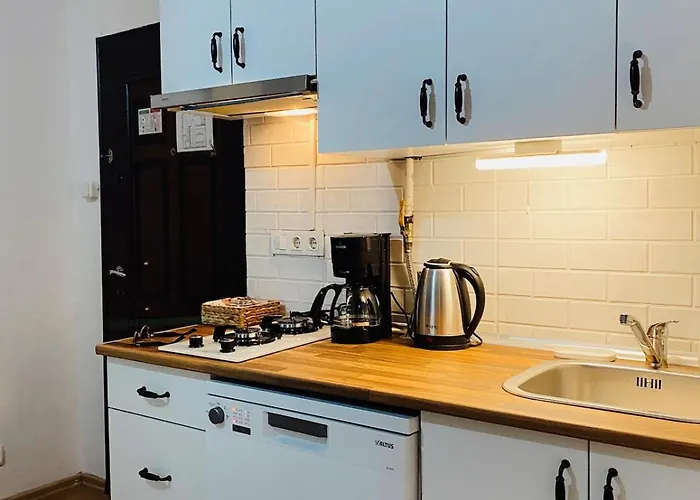 Stylish & Comfort In Ortakoey איסטמבול