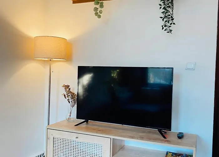 דירה Stylish & Comfort In Ortakoey איסטמבול