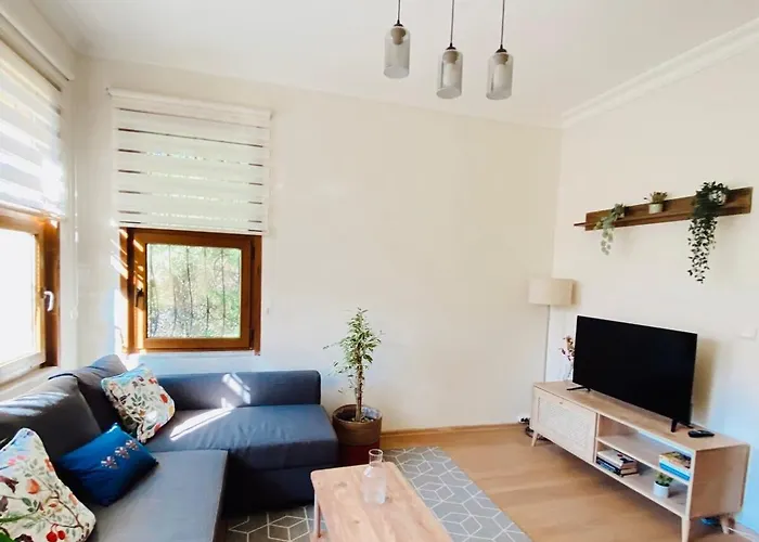 Stylish & Comfort In Ortakoey *